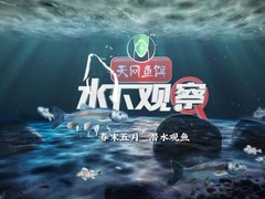 水下观察