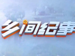鄉間紀事