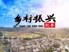 鄉(xiāng)村振興紀(jì)事