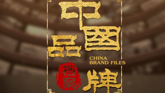 中国品牌档案