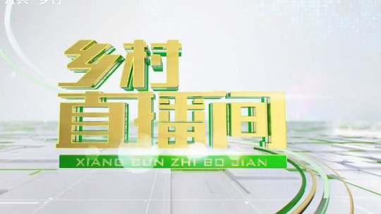 乡村直播间