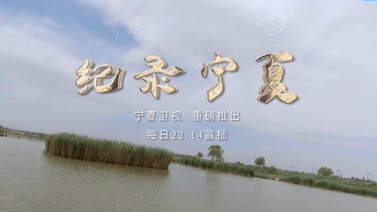 纪录宁夏