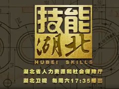 技能湖北