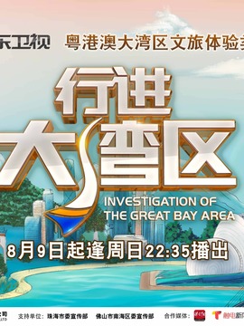 行进大湾区