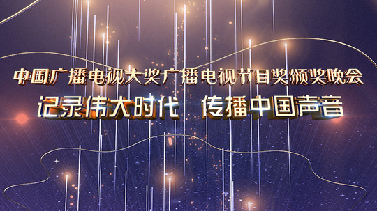 中国广播电视大奖颁奖晚会