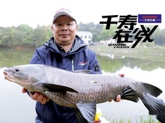千壽在線