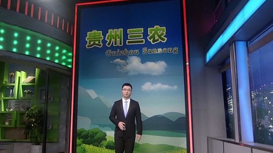 贵州三农