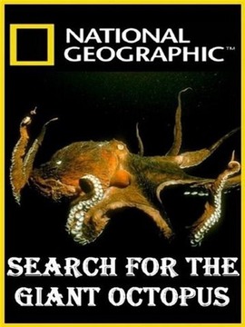 Search For The Giant Octopus