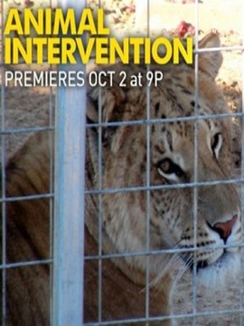 Animal Intervention