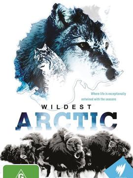 Wildest Arctic
