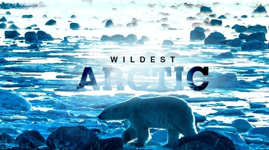 Wildest Arctic