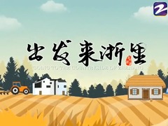 出發(fā)來浙里