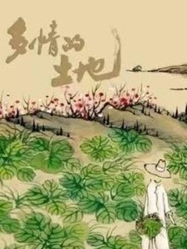 多情的土地