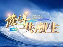 儋洋共潮生