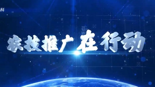 农技推广在行动