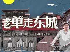 老单走东城
