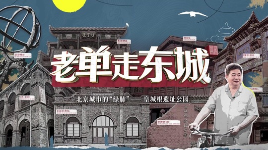 老单走东城