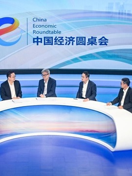中国经济圆桌会
