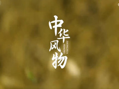 中華風(fēng)物