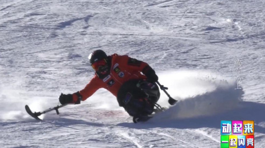 动起来一起闪亮