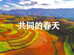 共同的春天
