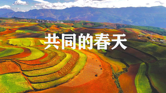 共同的春天