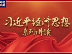 習(xí)近平經(jīng)濟(jì)思想系列講讀