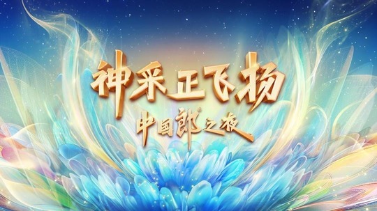 神采正飞扬·中国郎之夜