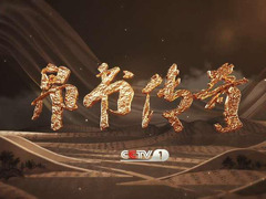 帛書傳奇