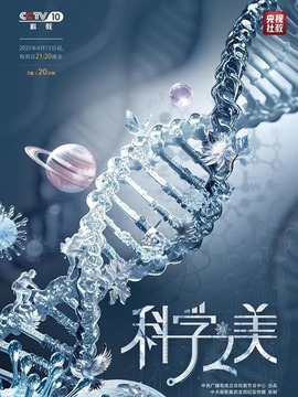 科学之美