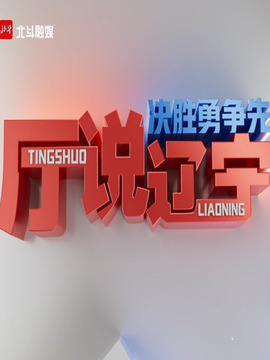 決勝勇爭先·廳說遼寧