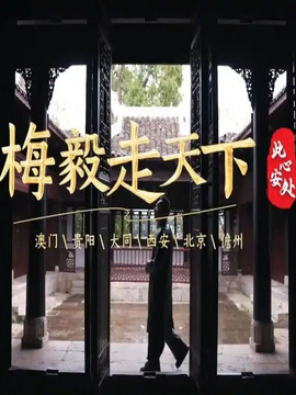 梅毅走天下·此心安處