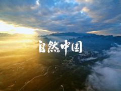 自然中國