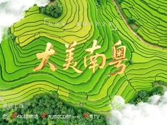 大美南粵