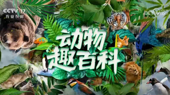 动物趣百科