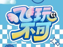 飛玩不可