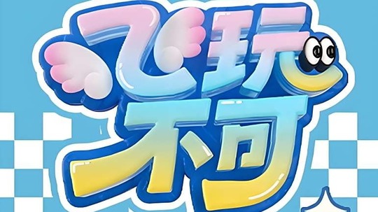 飞玩不可