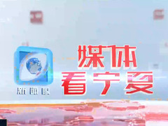媒體看寧夏