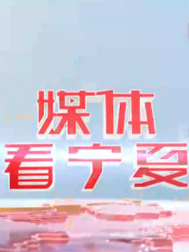 媒體看寧夏