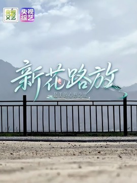 新花路放&mdash;&mdash;最美的心愿之旅