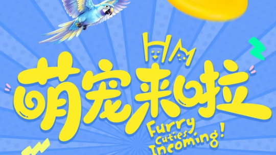 萌宠来啦