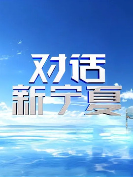 对话新宁夏