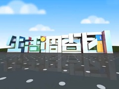 生活调查团