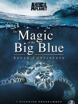 The Magic Of The Big Blue
