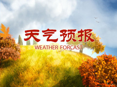 广西旅游天气预报
