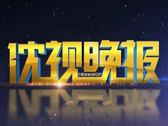 沈视晚报
