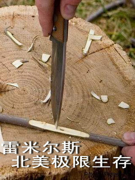 雷米尔斯北美极限生存