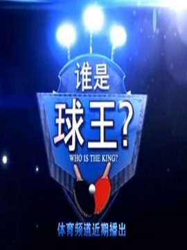 谁是球王-中国乒乓球民间争霸赛