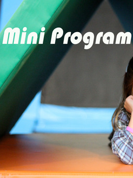 Mini Program
