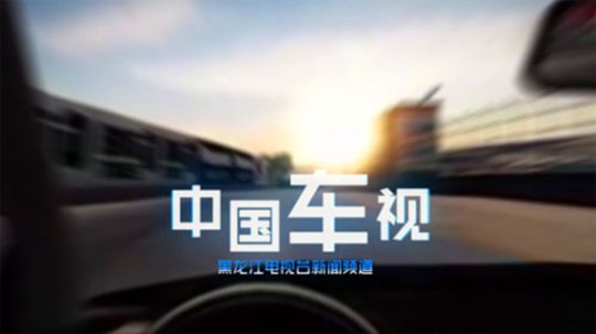 中国车视